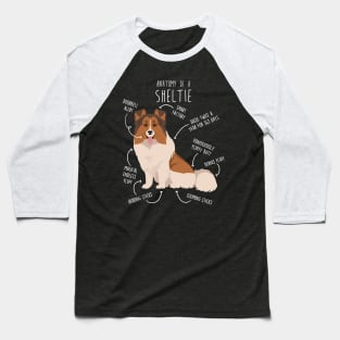 Color Headed White Sheltie Shetland Sheepdog Anatomy Baseball T-Shirt